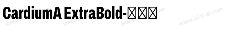 CardiumA ExtraBold字体转换